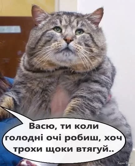 1000005441.webp