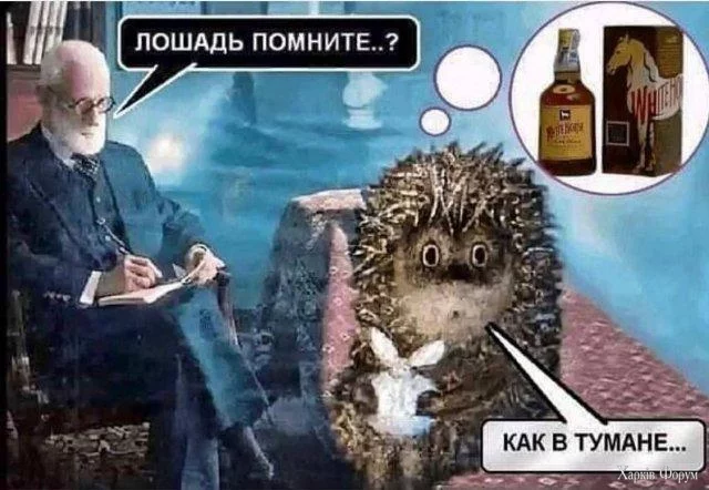 1000005459.webp