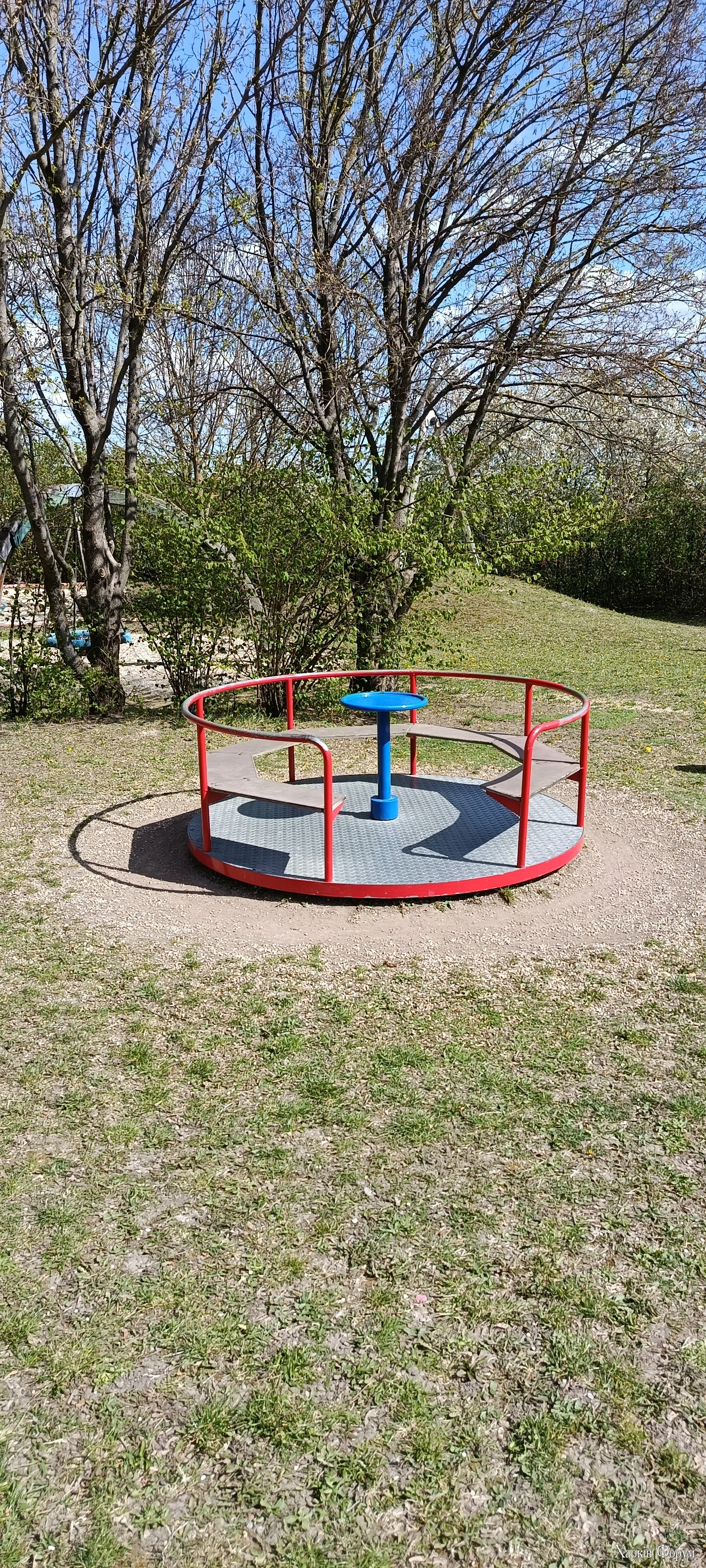 1000005542.webp
