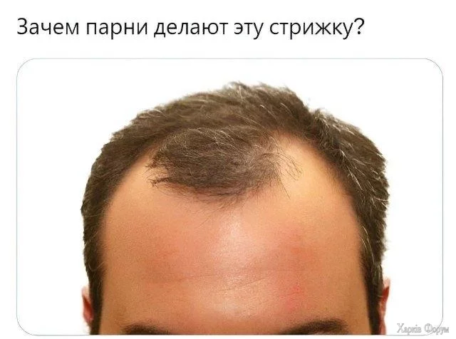 1000005556.webp