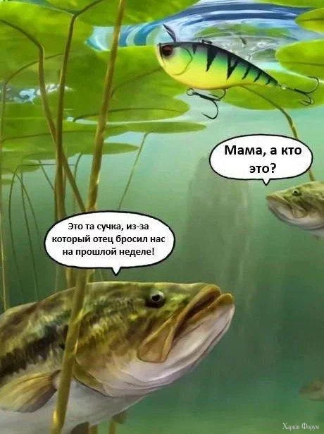 1000005599.webp