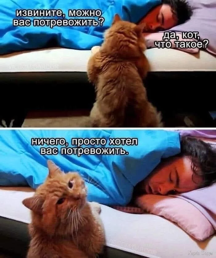 1000005613.webp