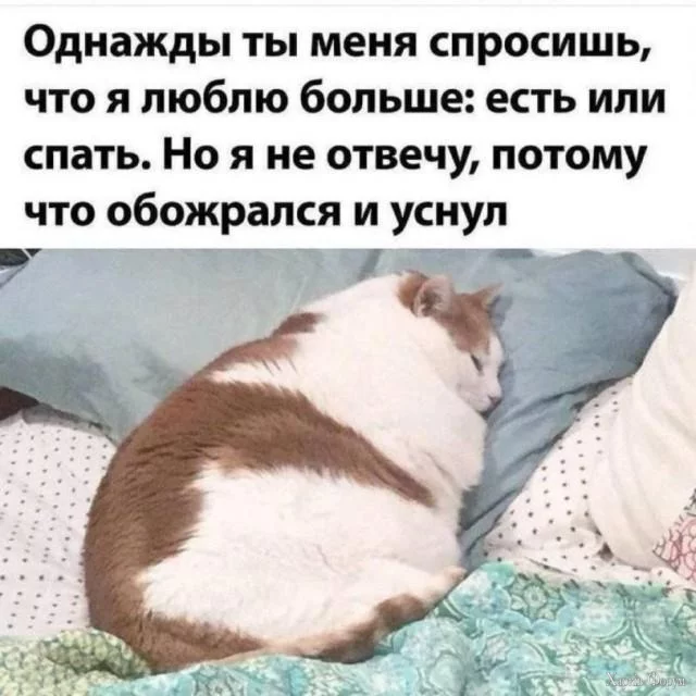 1000005729.webp