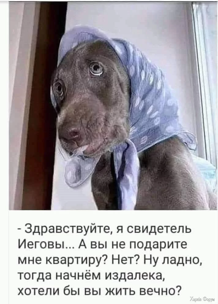 1000005775.webp