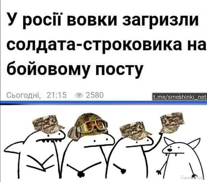 1000005985.webp