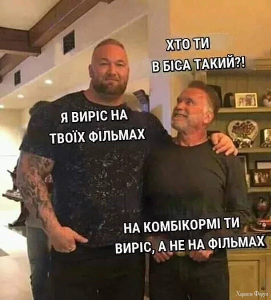 1000006056.webp