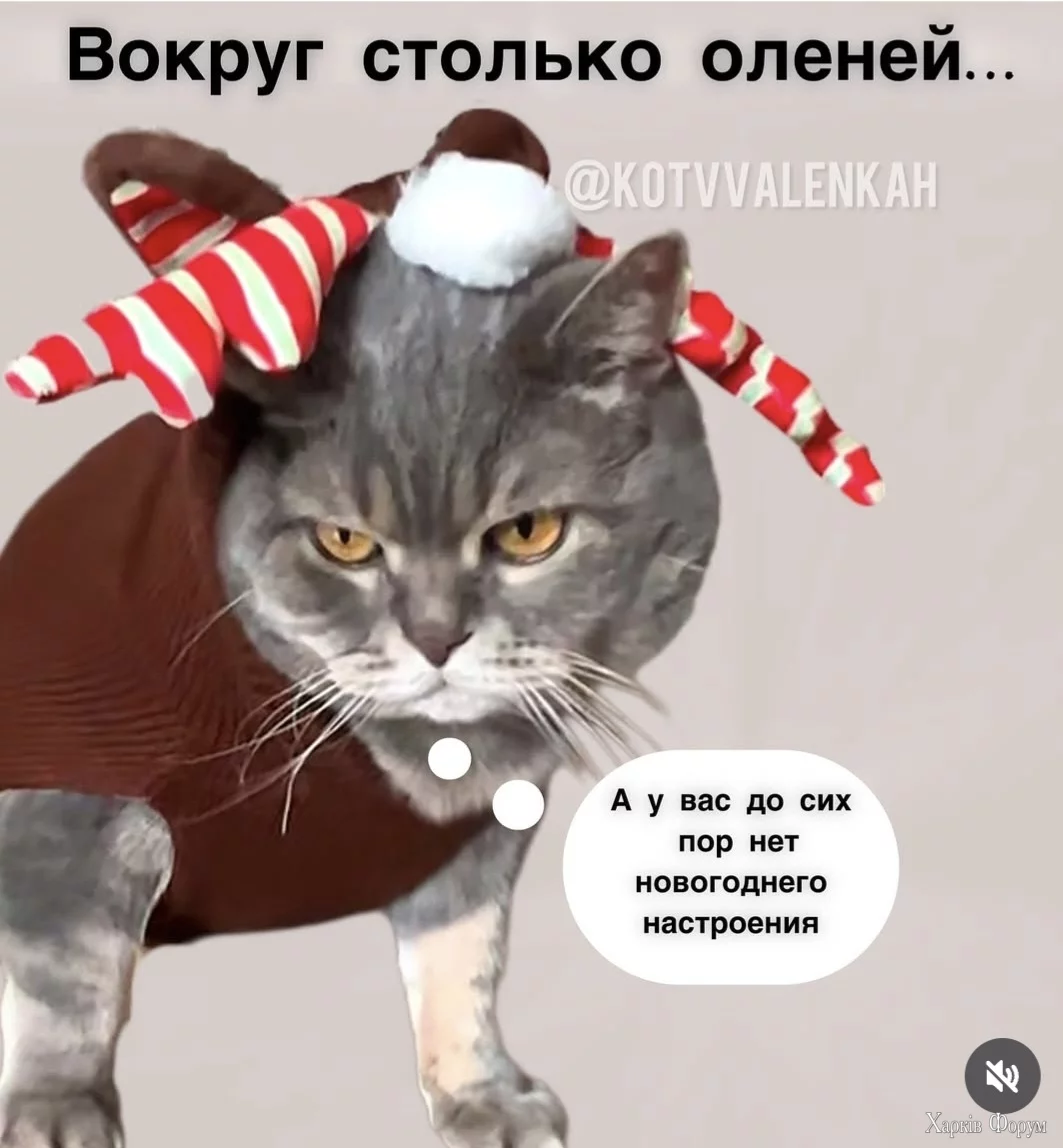1000006089.webp