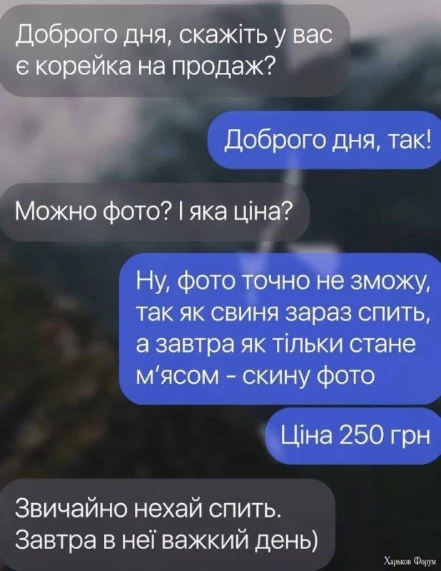1000006108.webp