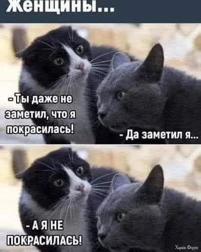 1000006238.webp