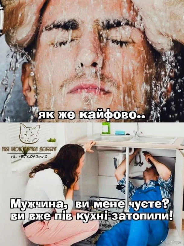 1000006421.webp