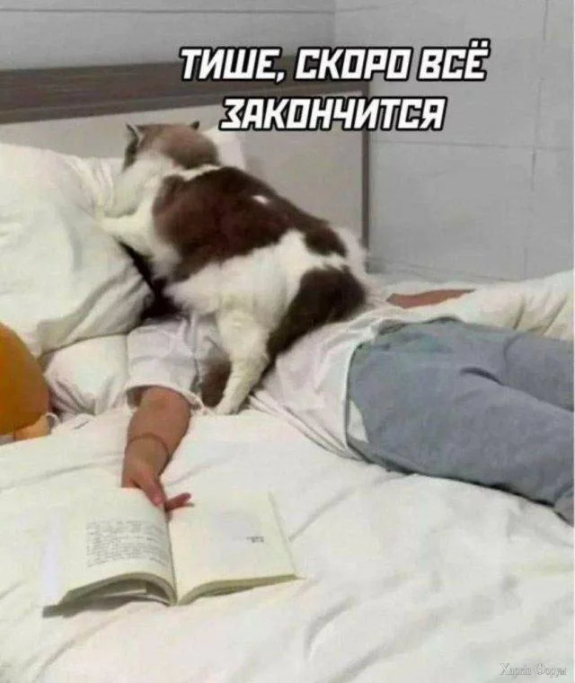 1000006451.webp