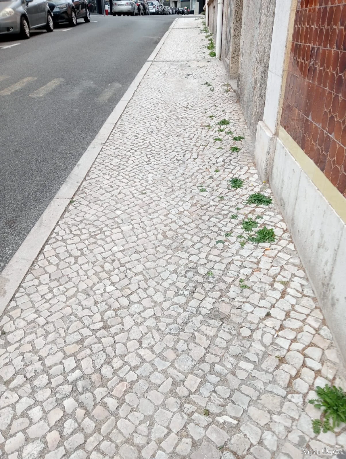 1000006617.webp