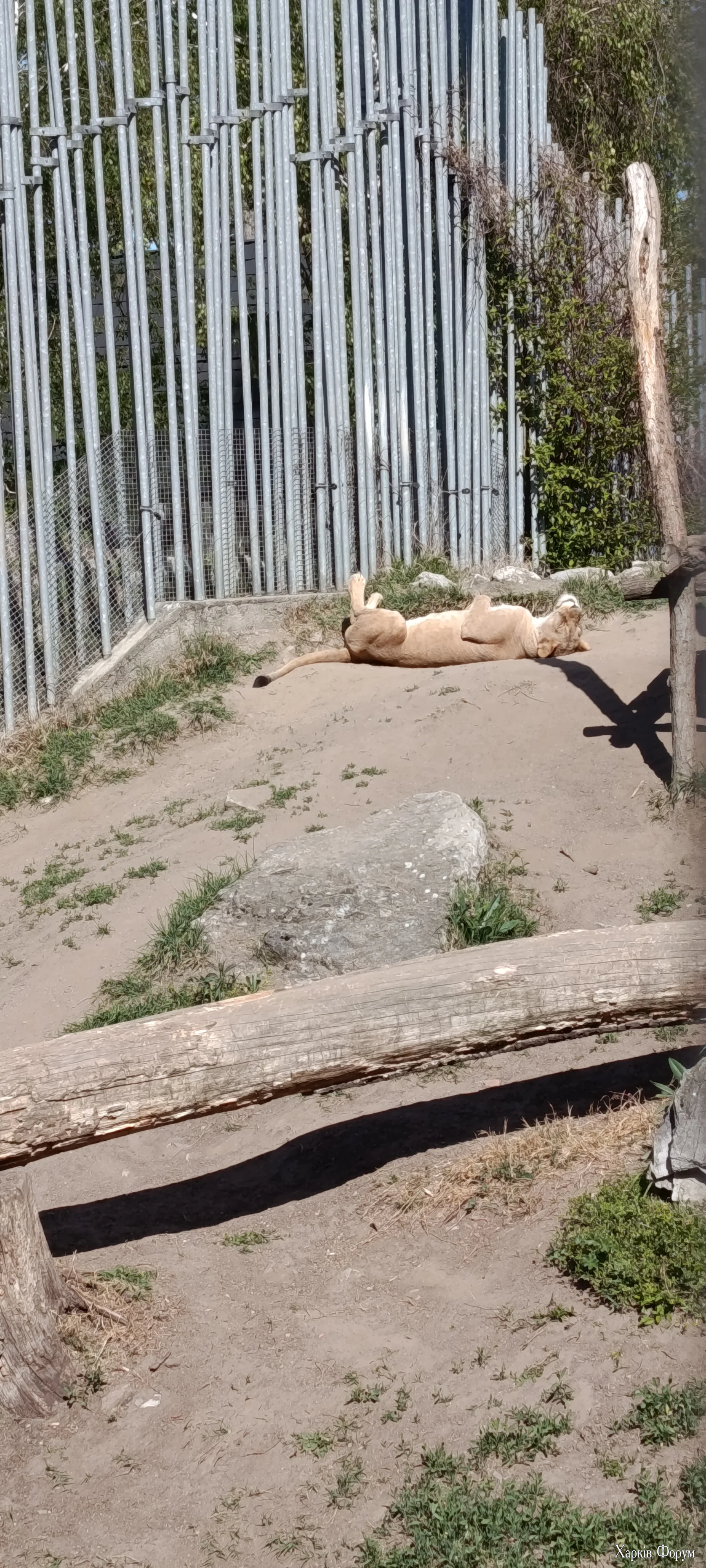 1000006806.webp