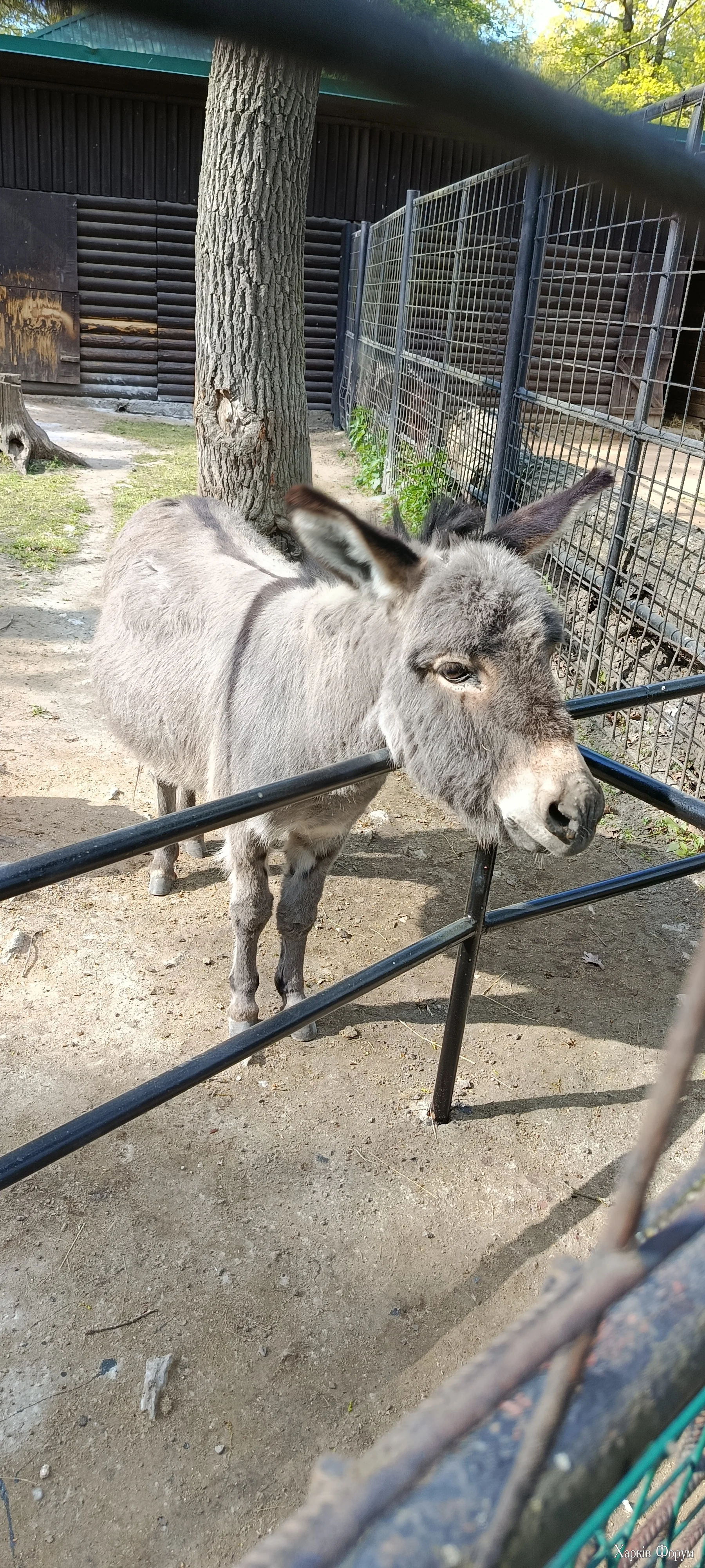 1000006842.webp