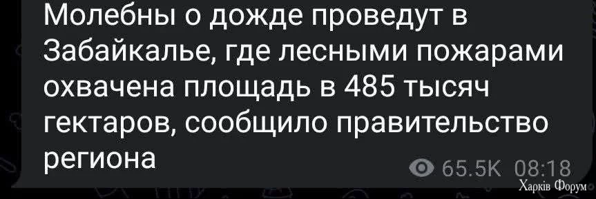 1000007003.webp