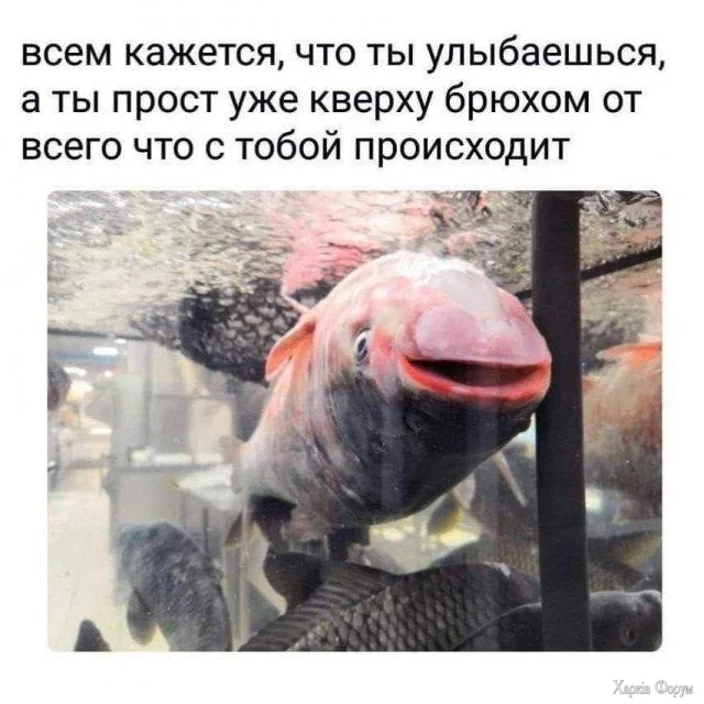 1000007042.webp