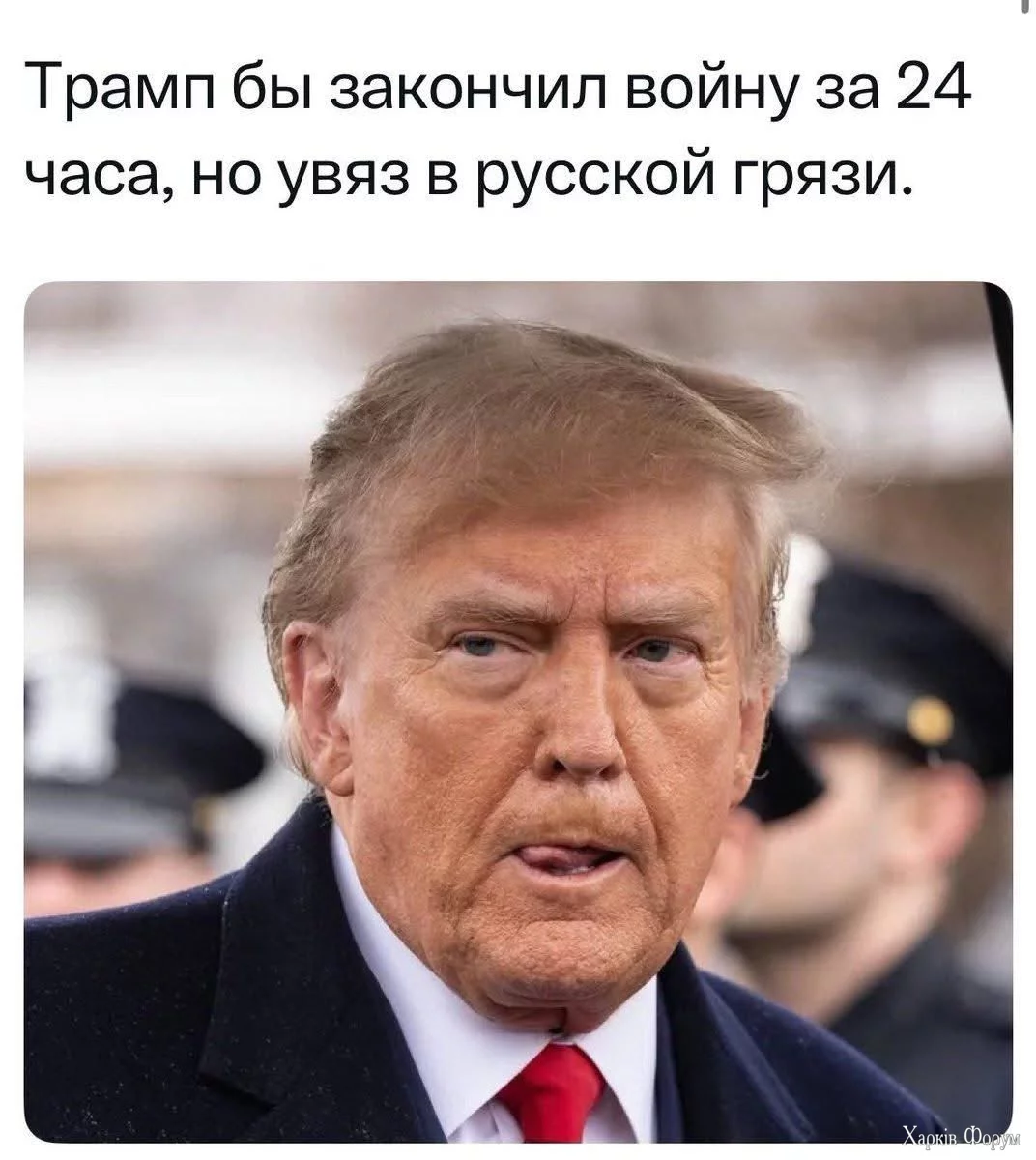 1000007194.webp