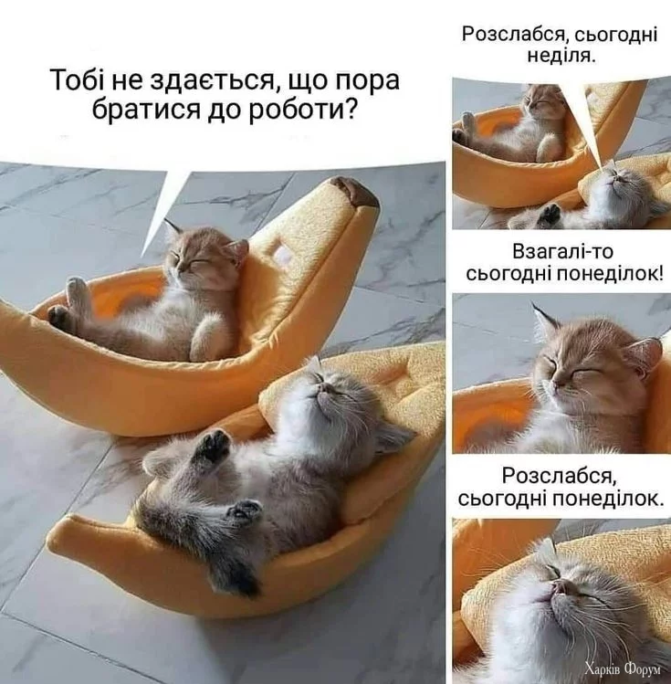1000007236.webp