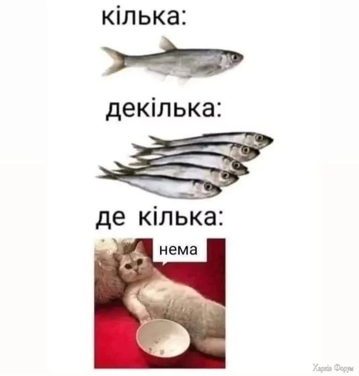 1000007279.webp