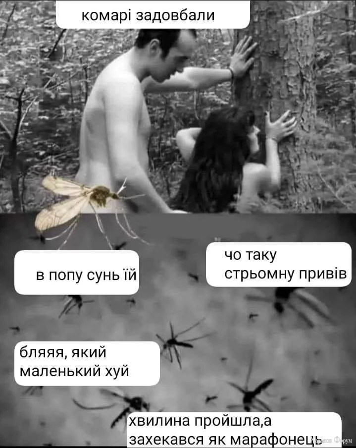 1000007351.webp