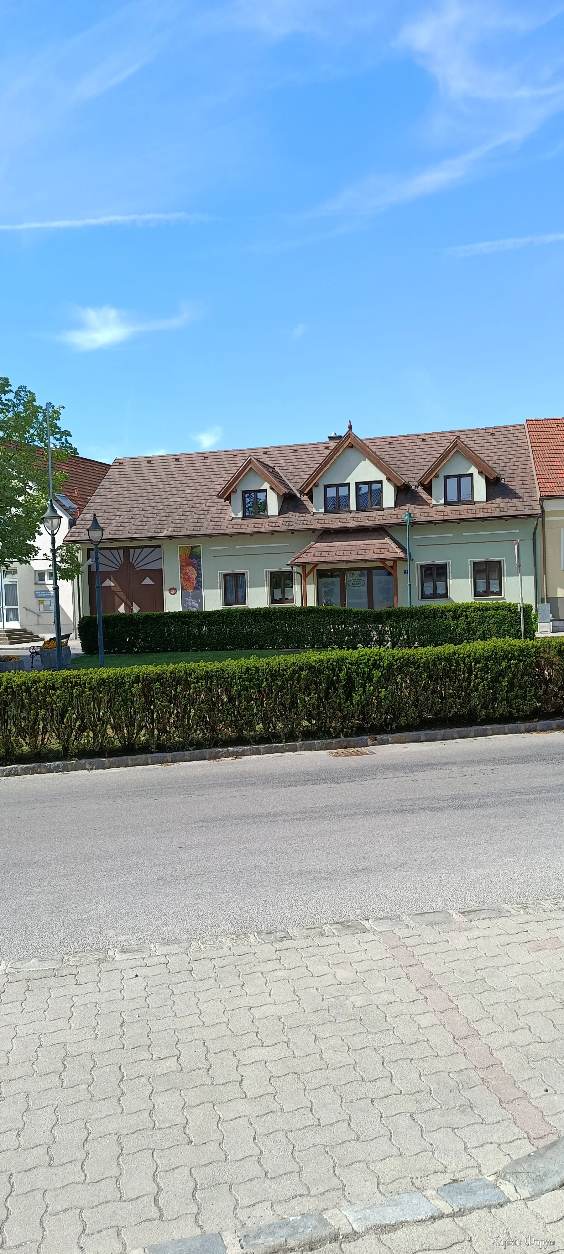 1000007382.webp