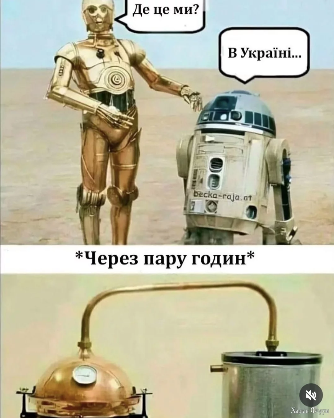 1000007384.webp