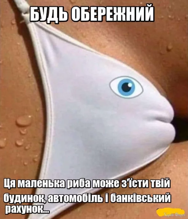 1000007405.webp