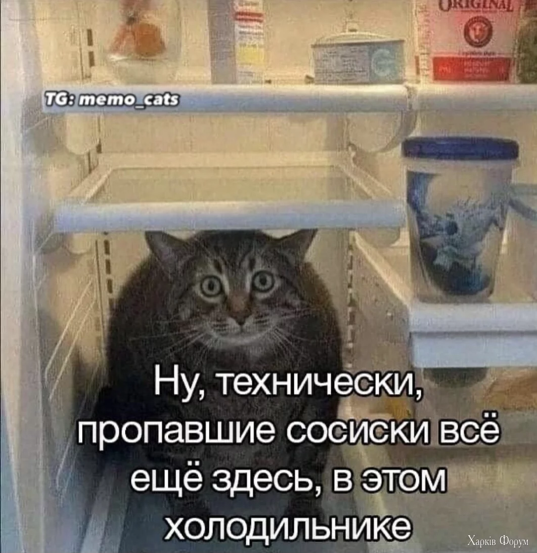 1000007435.webp