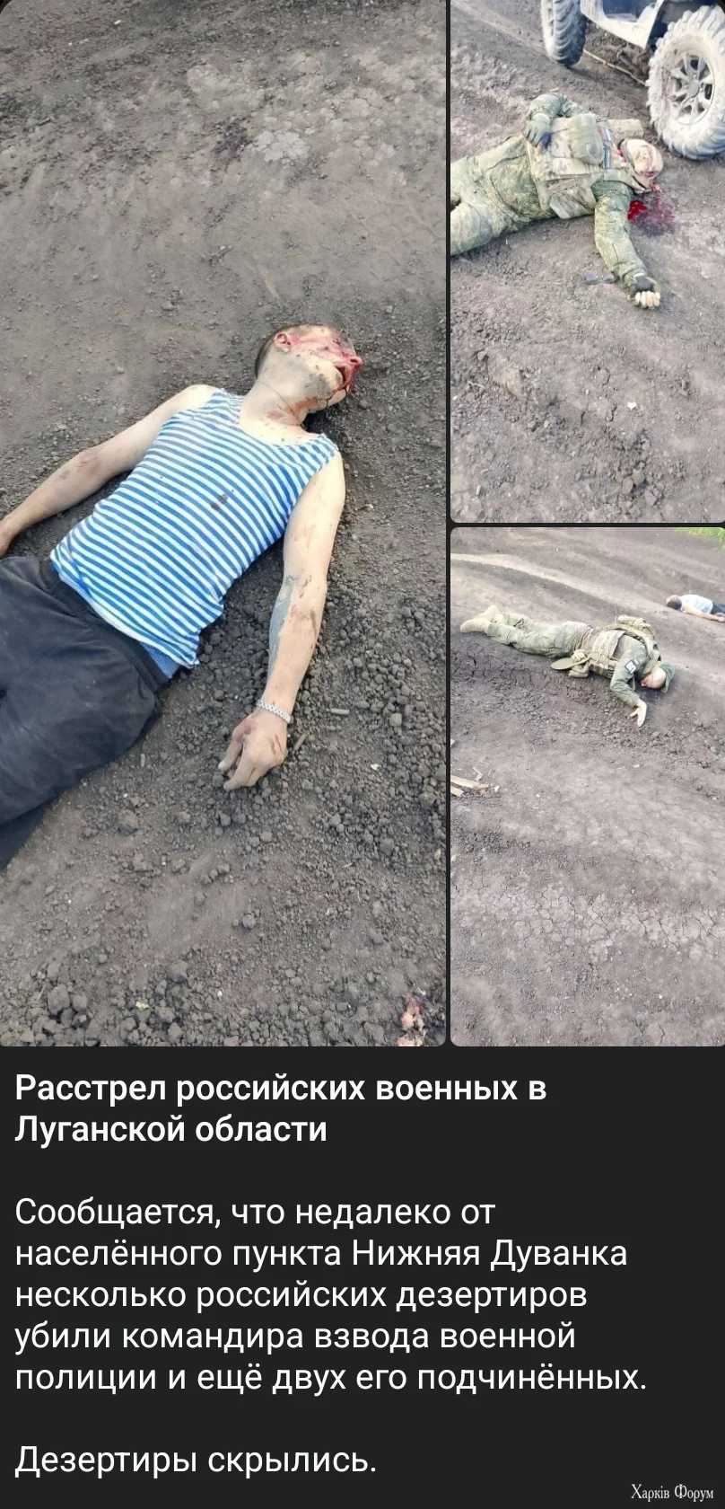 1000007830.webp