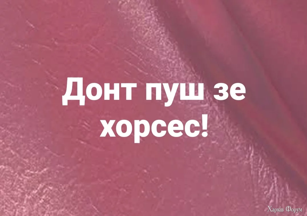 1000007840.webp