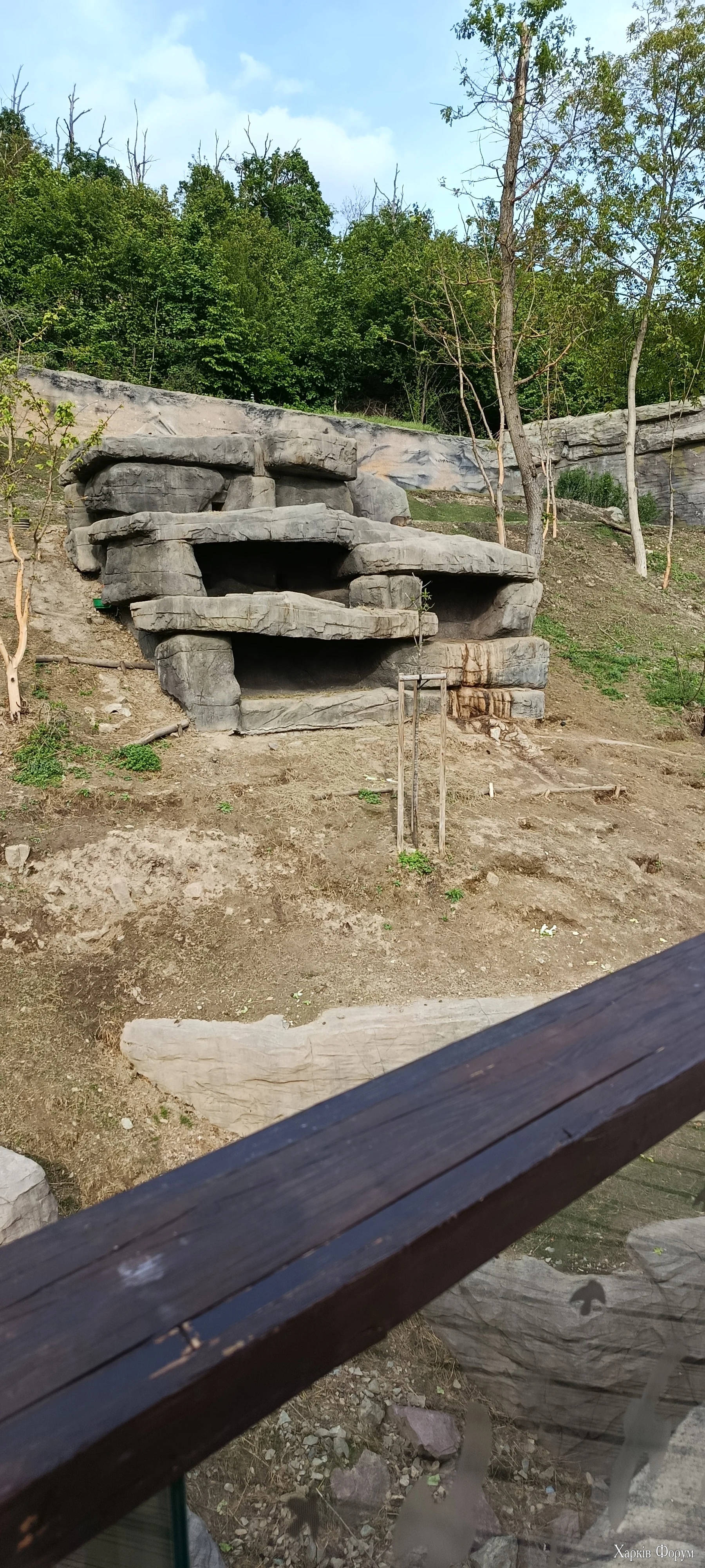 1000007896.webp