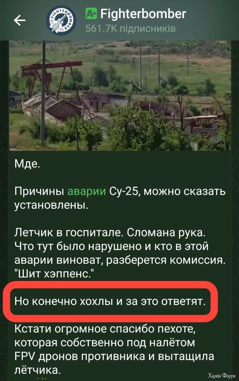 1000008035.webp