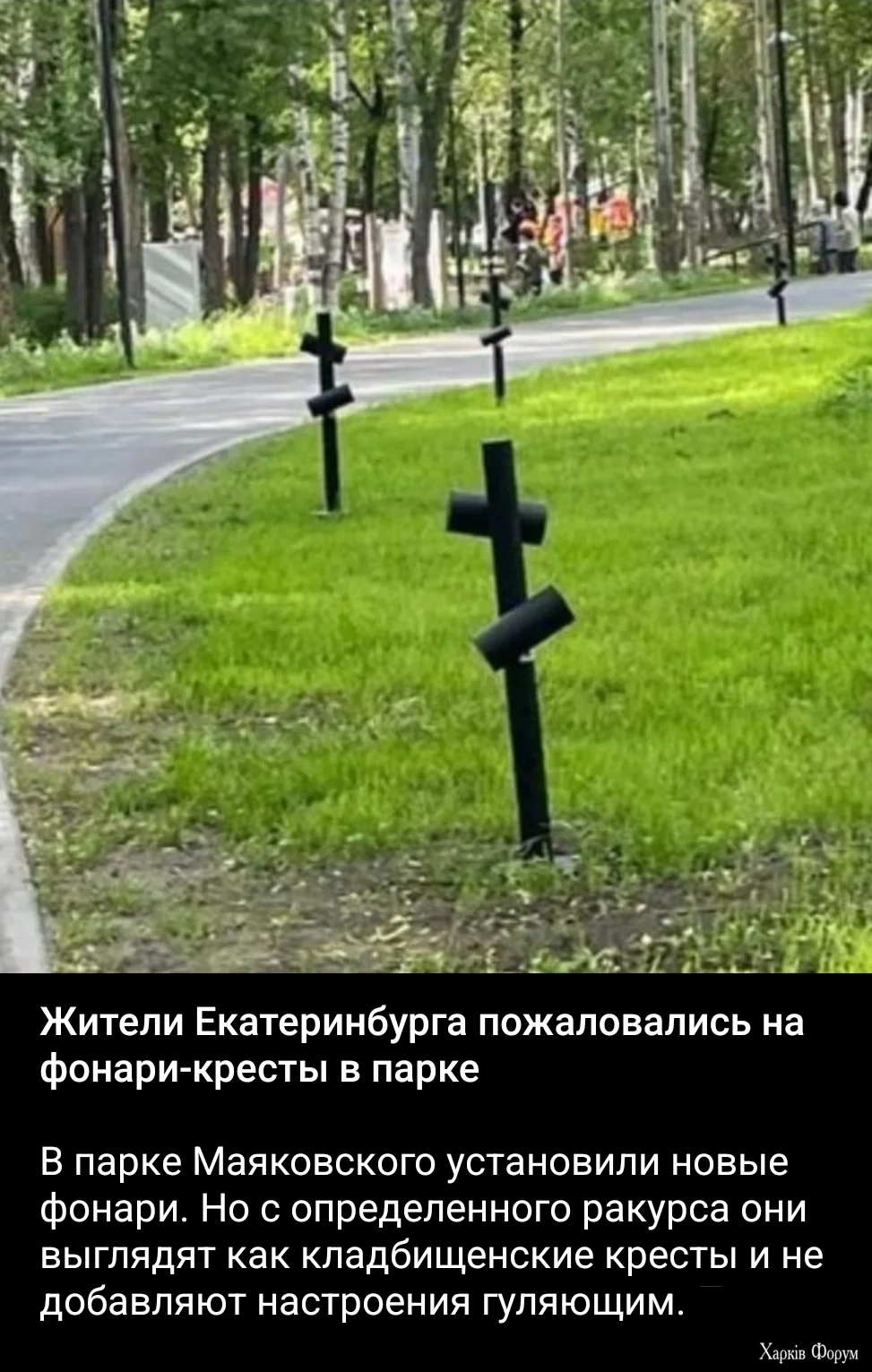 1000008166.jpg