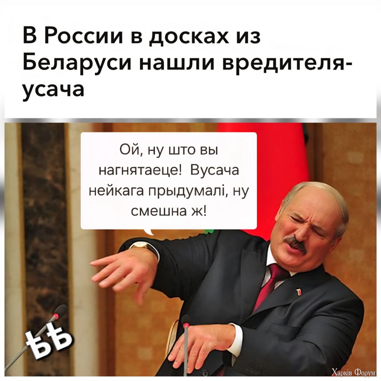 1000008175.jpg