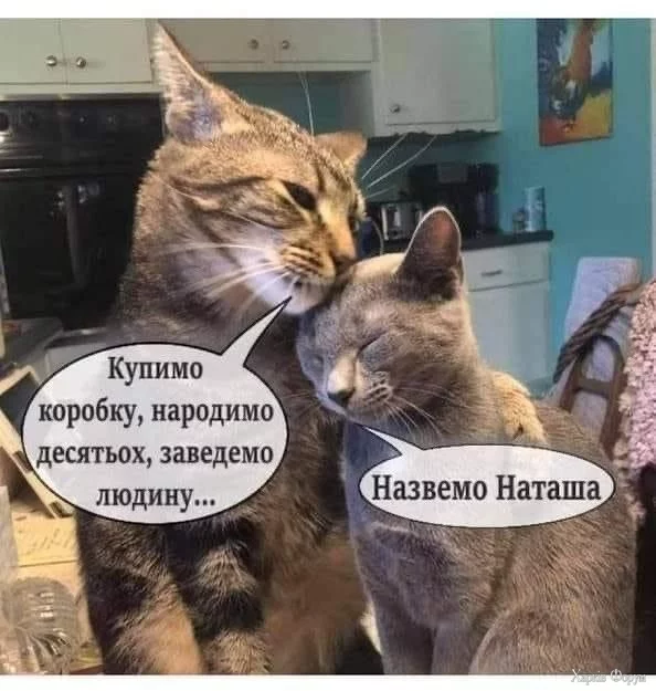 1000008238.webp