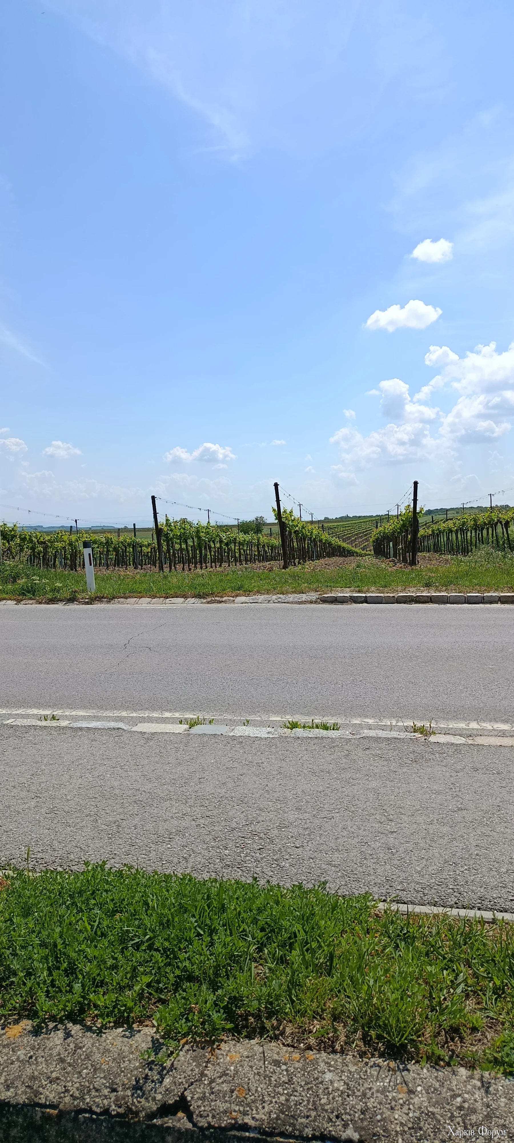 1000008275.webp