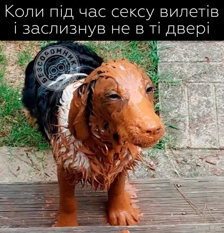 1000008413.webp