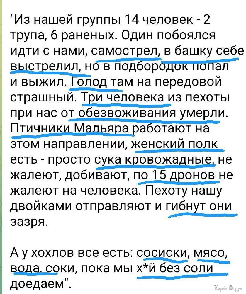1000008475.webp