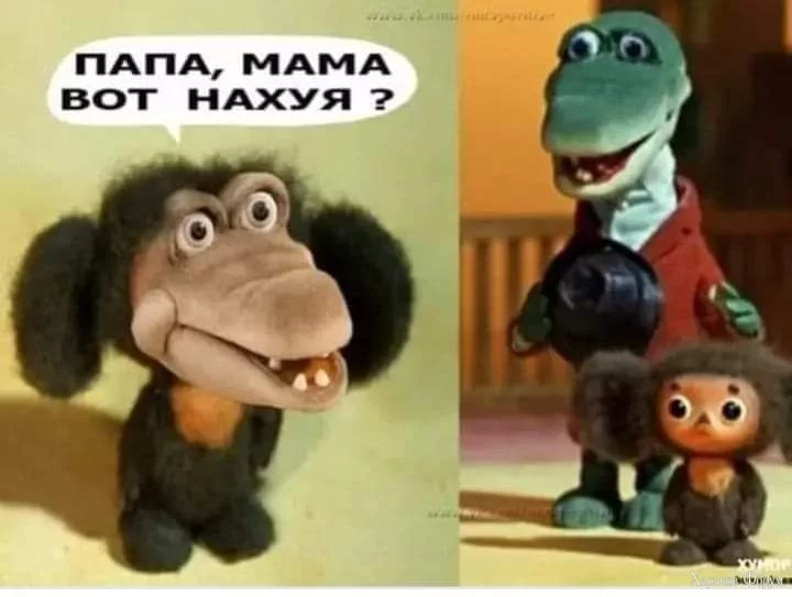 1000008522.webp