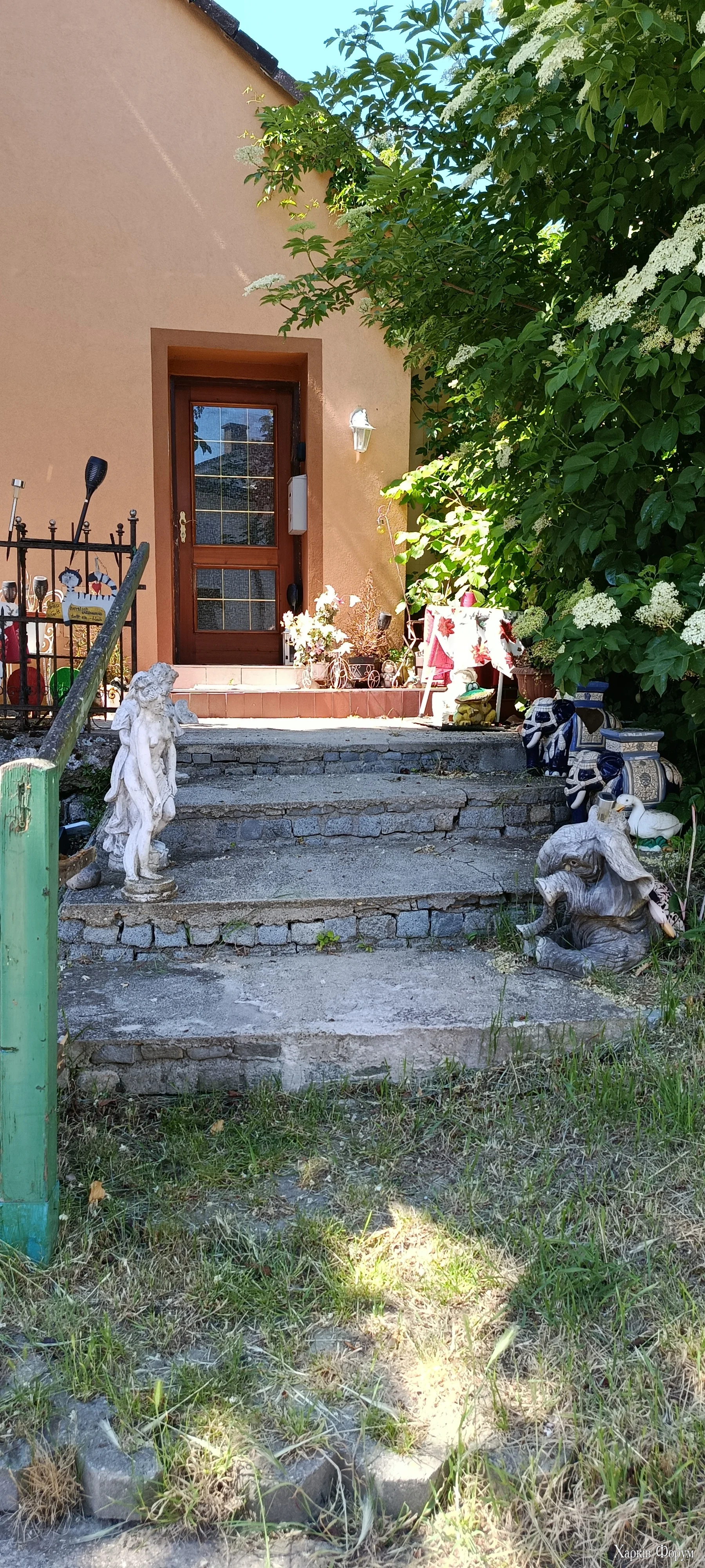 1000008550.webp