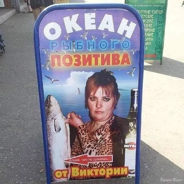 1000008676.webp