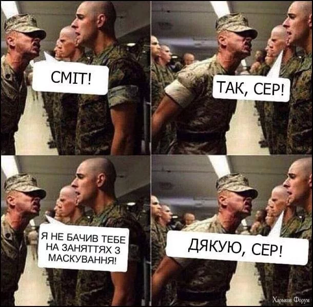 1000008696.webp