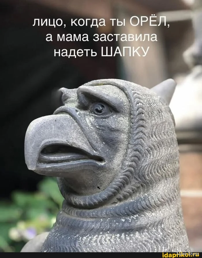 1000008775.webp