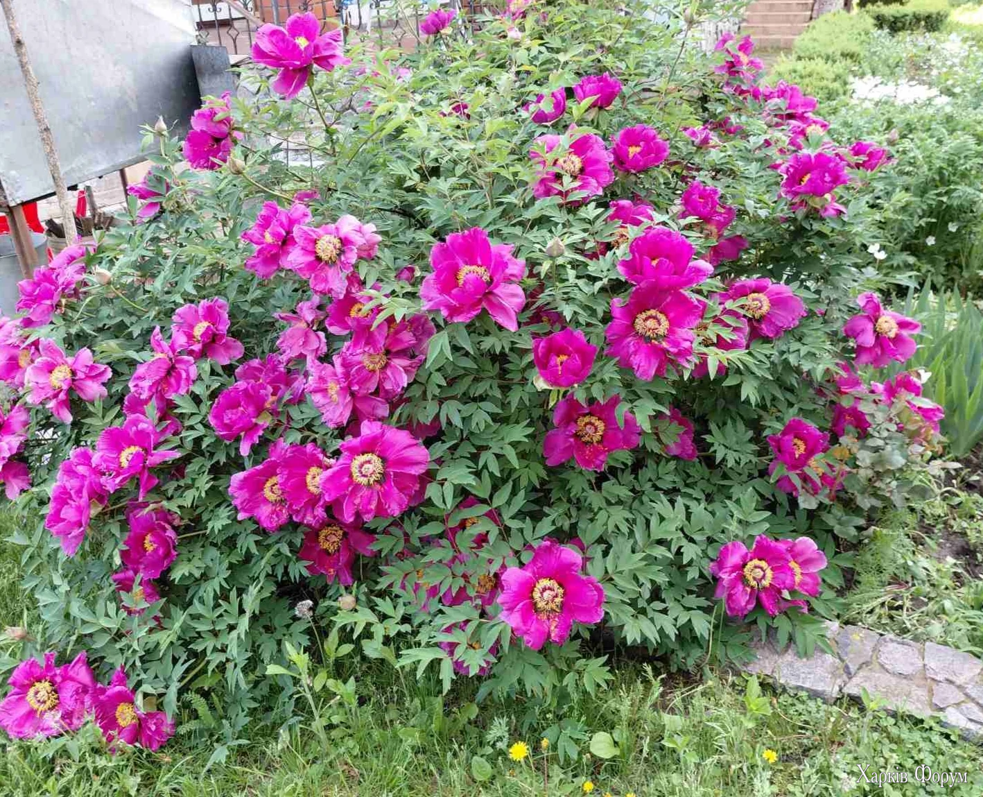 1000008871.webp