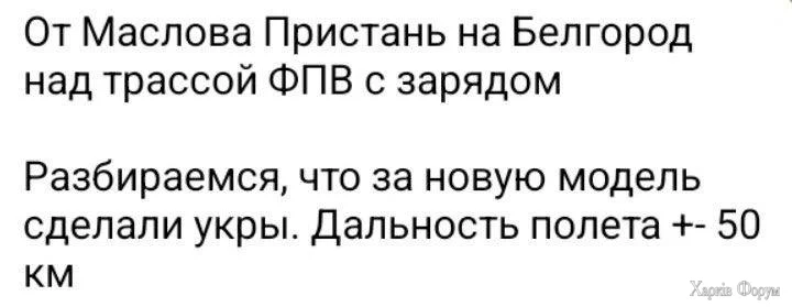 1000008915.webp