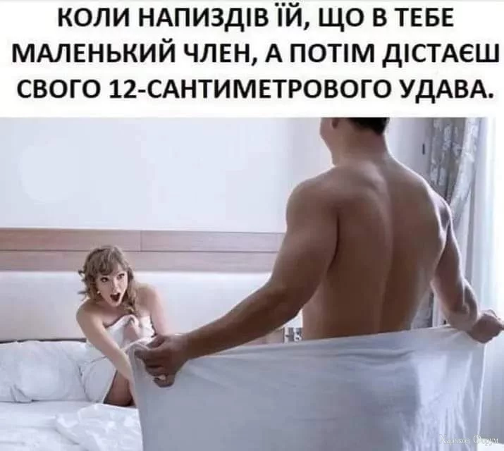 1000008999.webp