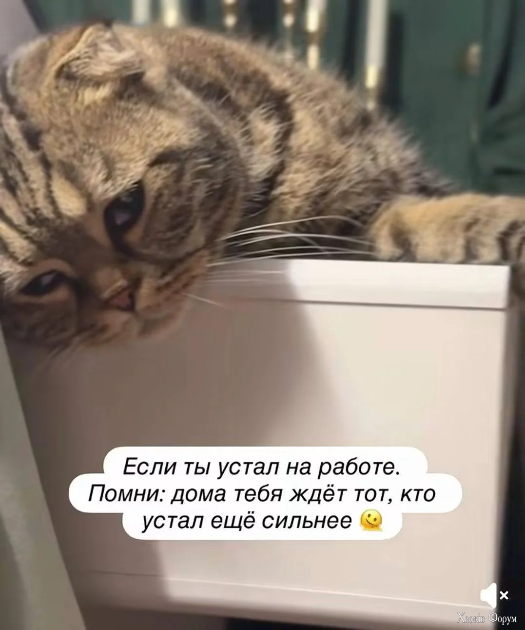 1000009221.webp