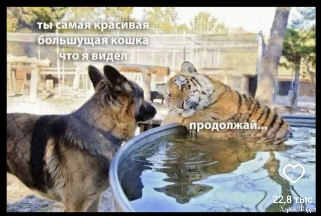 1000009985.webp
