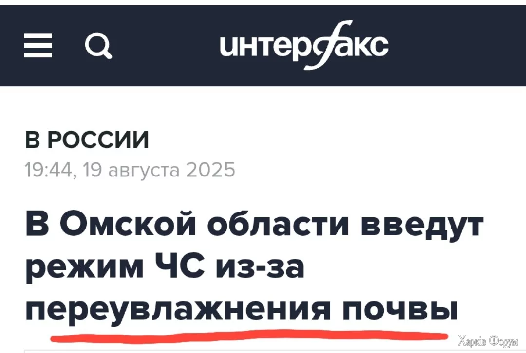 1000010203.jpg
