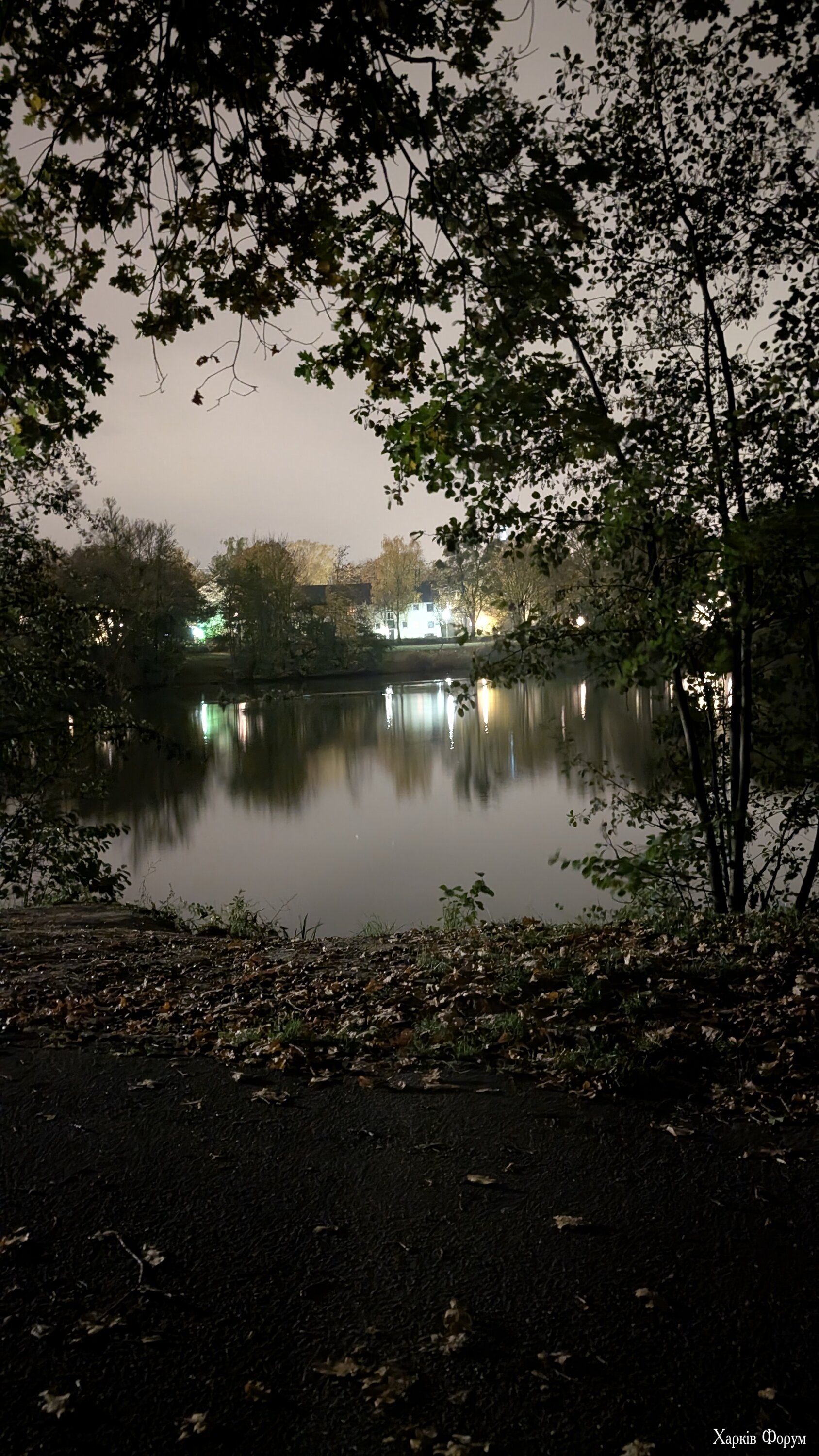 1000010267.jpg